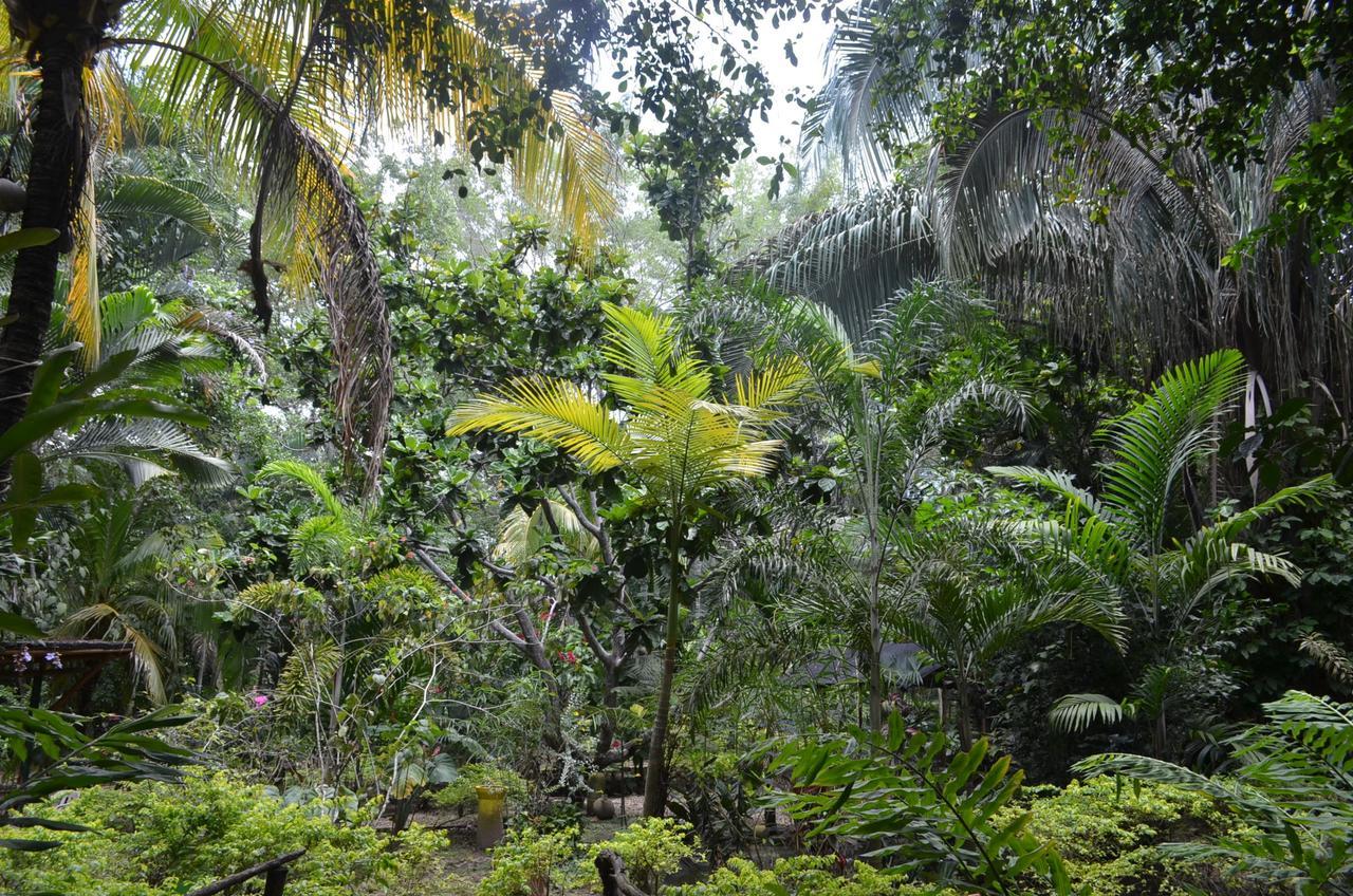 Amanwana Ecofinca Hotell Melgar Eksteriør bilde