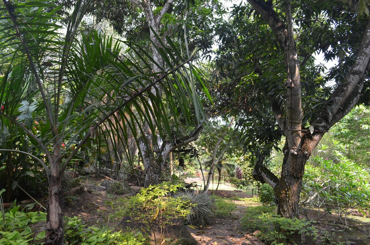 Amanwana Ecofinca Hotell Melgar Eksteriør bilde