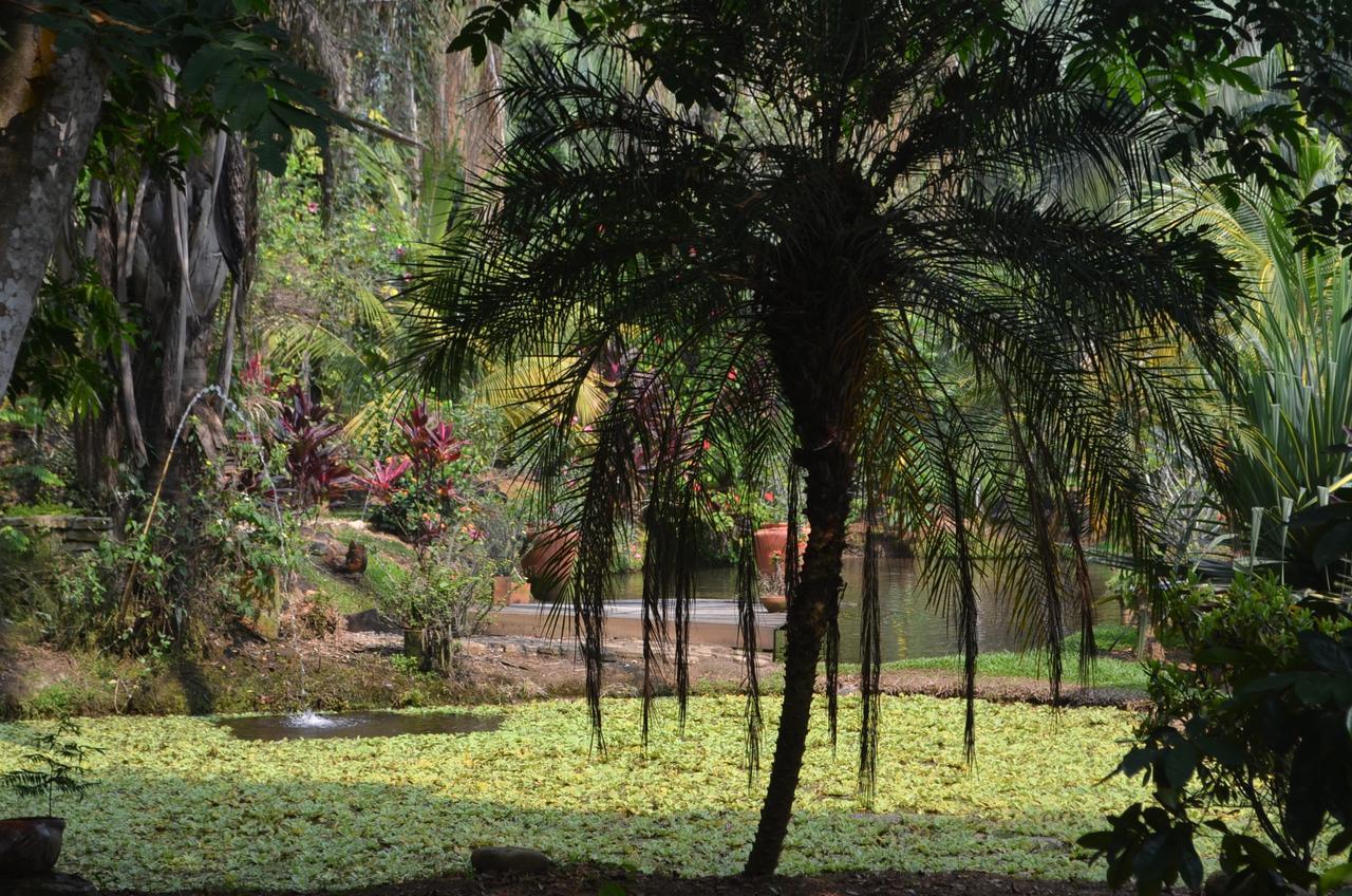 Amanwana Ecofinca Hotell Melgar Eksteriør bilde